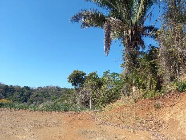 Building Lots for sale in a pristine and peacefull woodland 3 km from Samara Beach - photo 3