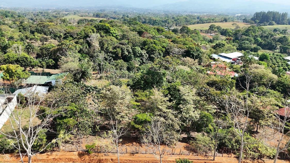 Home Construction Site For Sale in La Ceniza - photo 7