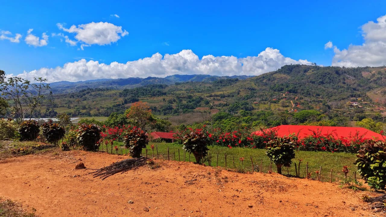 Agricultural Land For Sale in Daniel Flores - photo 25