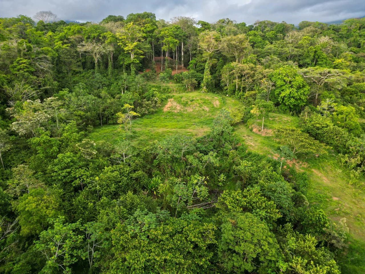 Build Your Vision in Uvita – 15.9 Ocean View Acres with Easy Access + Utilities Ready! - photo 8