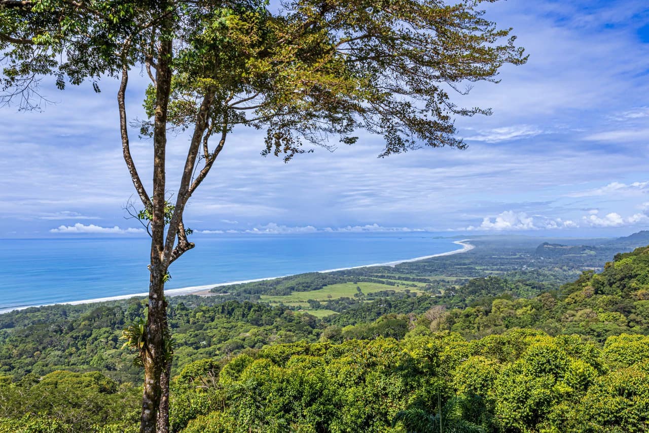 17 ACRES – 5 Bedroom Grand Estate, Guest House, SPECTACULAR VIEWS!!! - photo 2