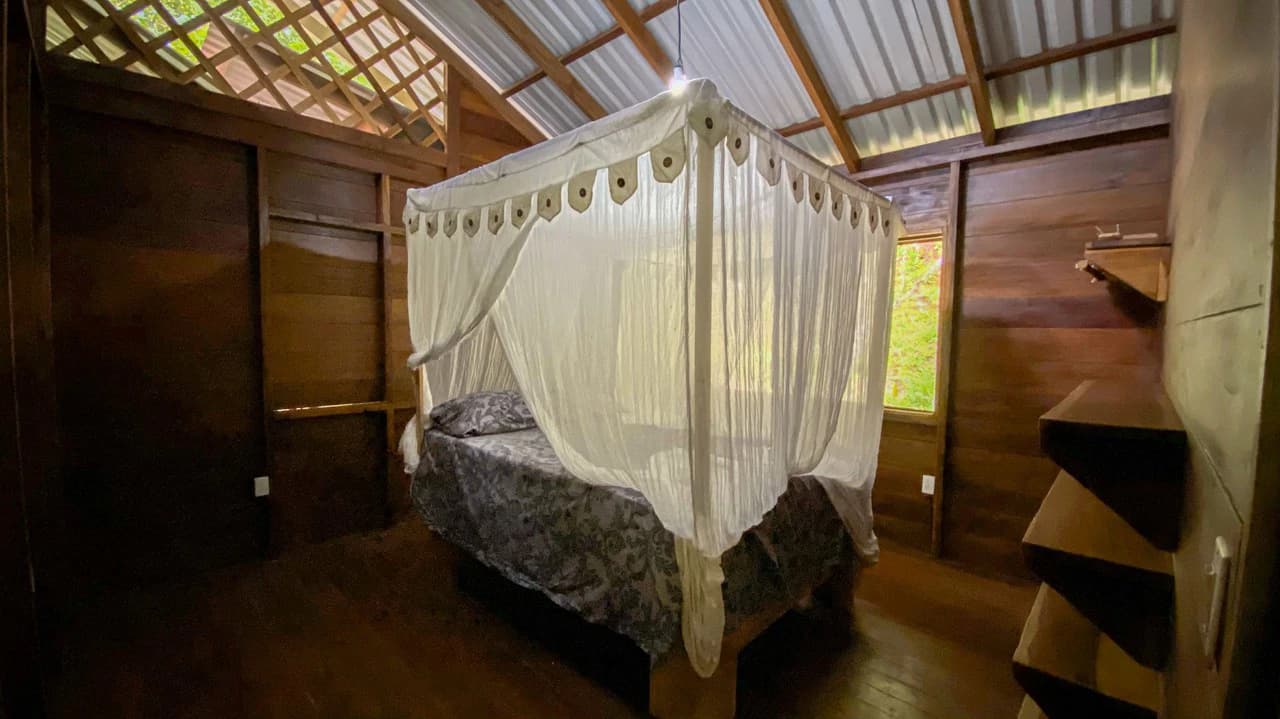 4 Bd/3 Ba - Two Caribbean Homes w/ Pool, on 5000m²: Dual Home Jungle Property in Punta Uva - photo 11