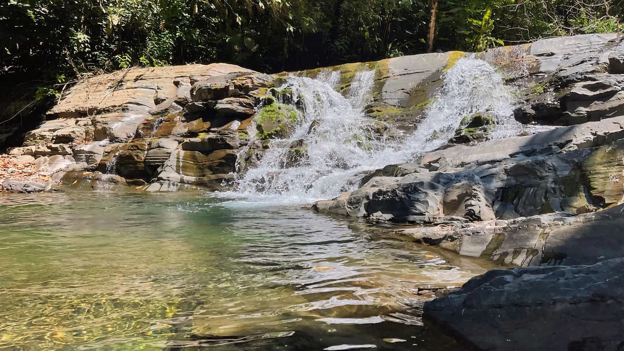 FINCA CERRO DEL TIGRE! OVER 20 ACRES OF PRIMARY FOREST AND WATERFALLS.: Mountain Agricultural Land For Sale in La Unión - photo 28
