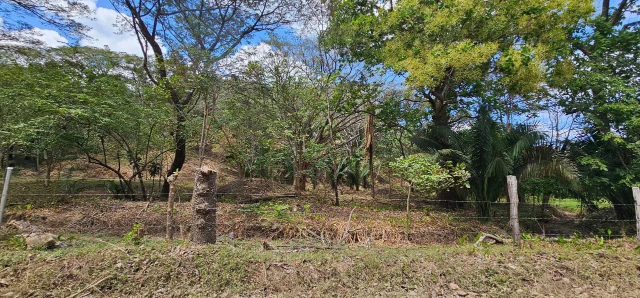 1-Acre Lot with Seasonal Creek - Build Your Dream Home, Rentals, or Business - photo 8