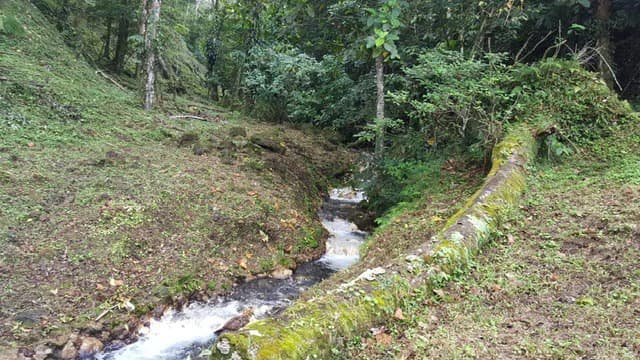 Hot and Cold Thermal Springs for Sale – Beautiful Property in Dos Ríos, Alajuela with Excellent Commercial Potential - photo 86