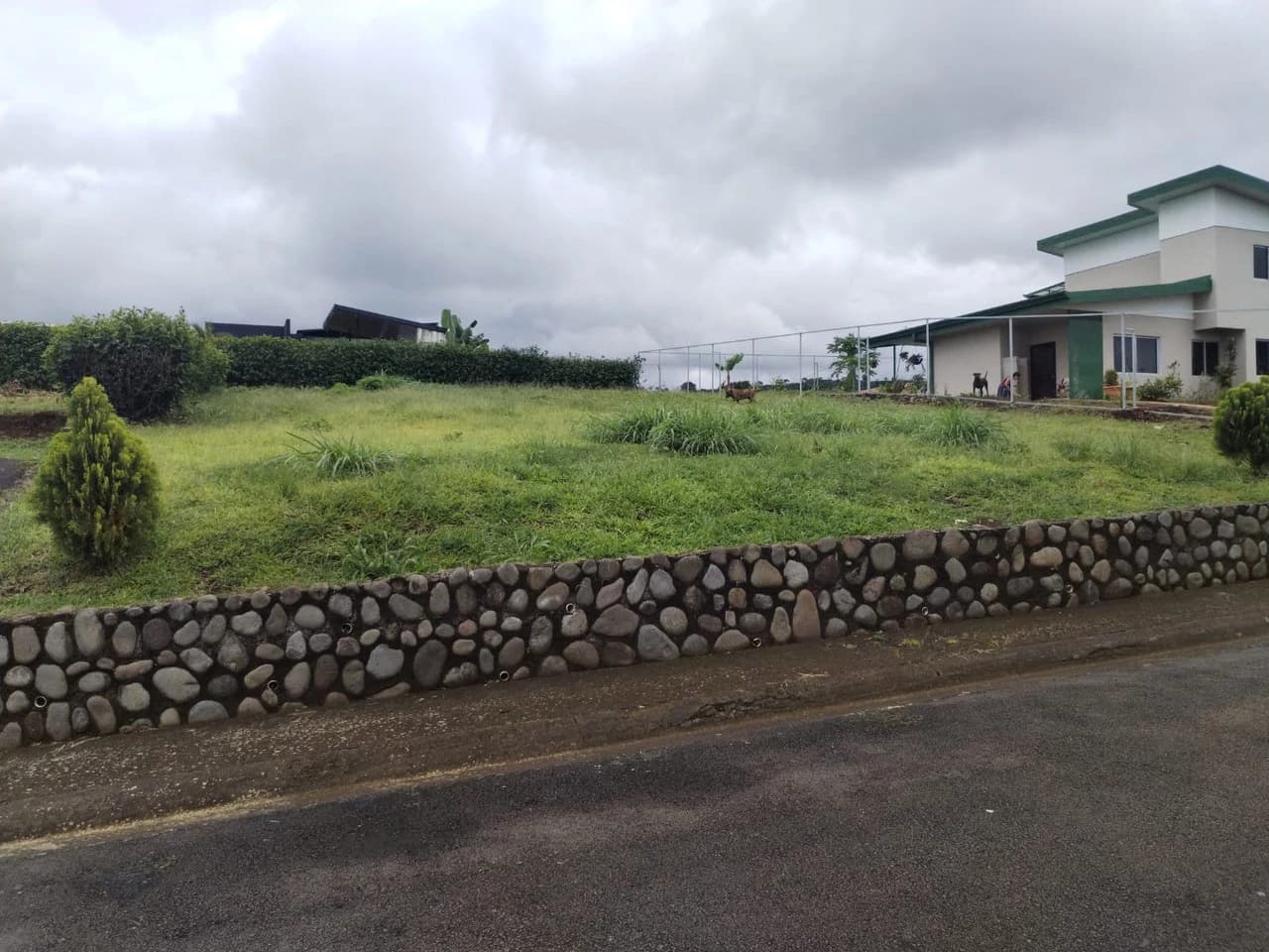 Lot for Sale in San Antonio de la Cueva, Naranjo: Perfect for Building in a Natural and Secure Setting - photo 2