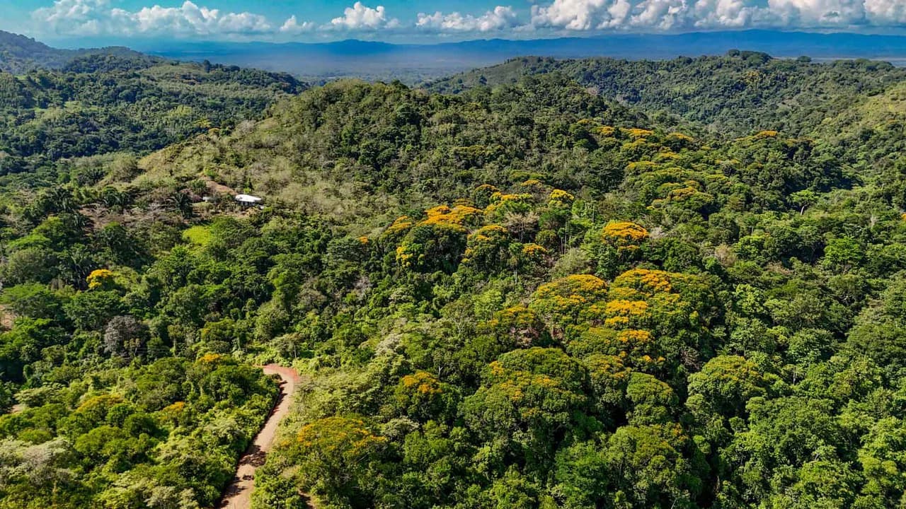 32 Acre Self Sustainable Farm with House Close Ojochal - photo 67