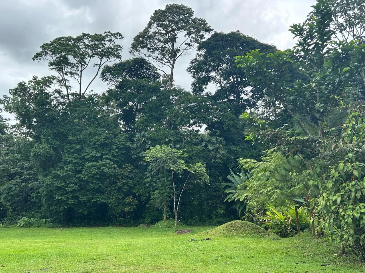 Incredible Building Lot: Riverfront Home Construction Site For Sale in Peñas Blancas - photo 7