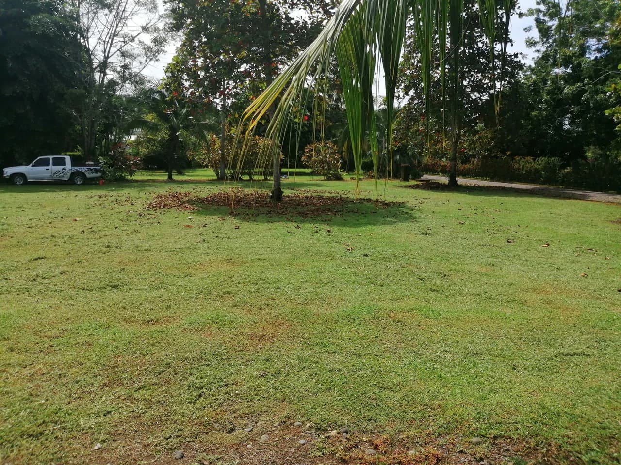 Amazing Home on Huge Lot Near the Beach - photo 49