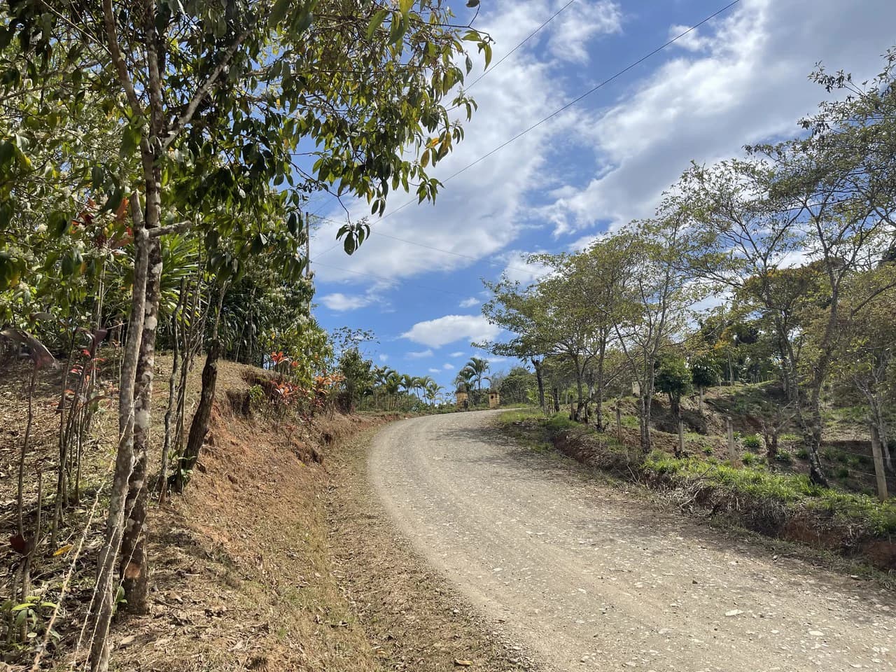 Elevated Two and a Half Acres with Cool Breeze in San Isidro del General - photo 10