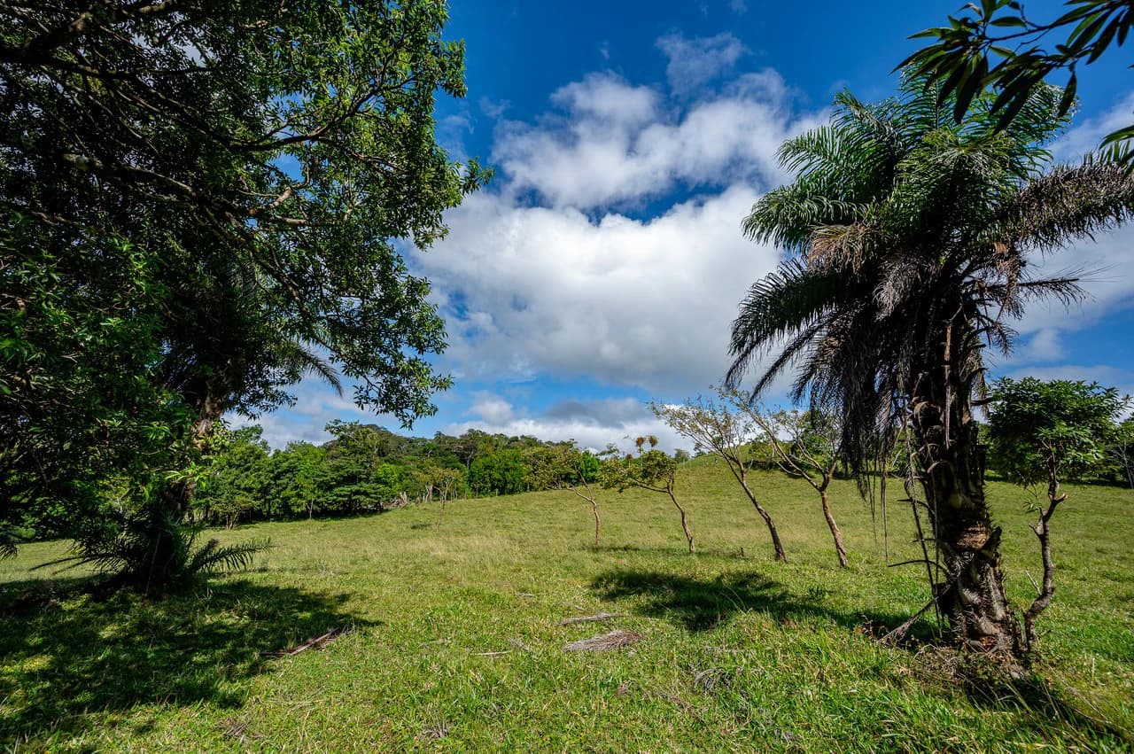 LA CABAÑA - 13+ ACRES & a TINY HOUSE & outstanding VIEWS - REDUCED PRICE - SELLER MOTIVATED - photo 47
