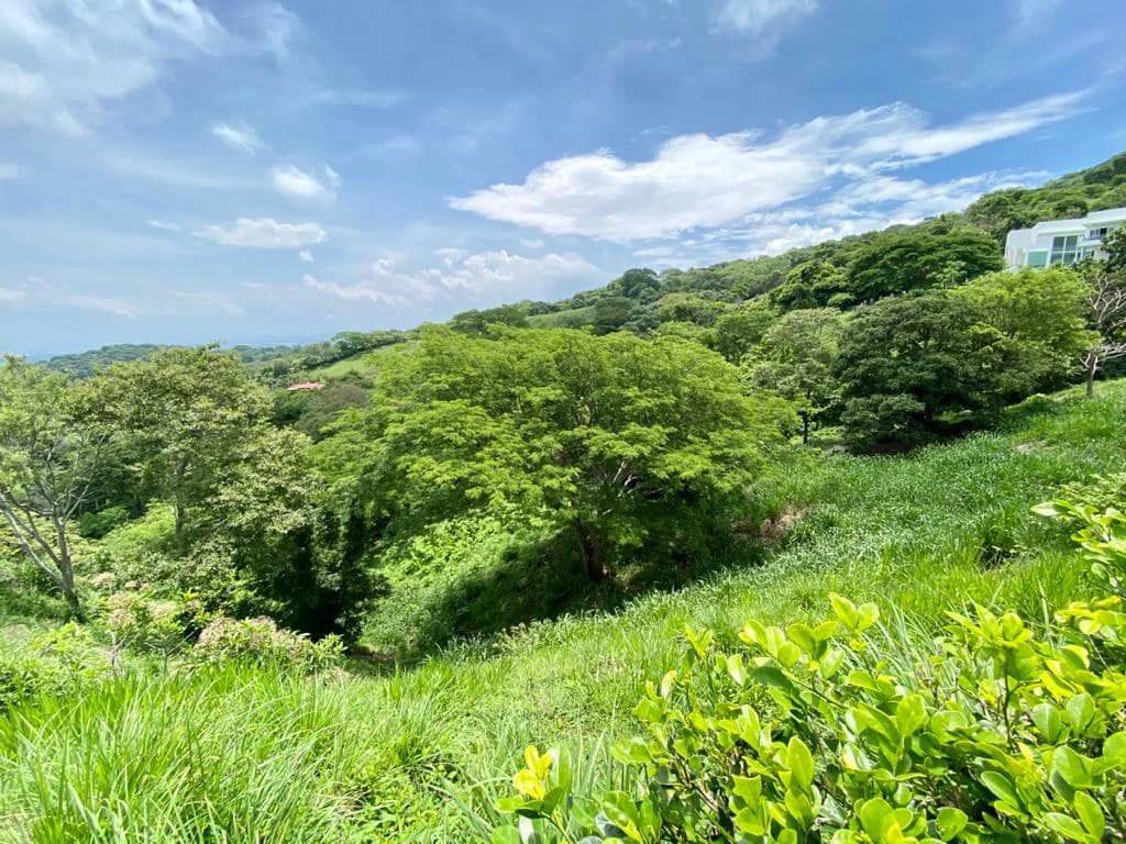 Lot for Sale in Gated Community Cerro Colon Ciudad Colon Costa Rica - photo 6