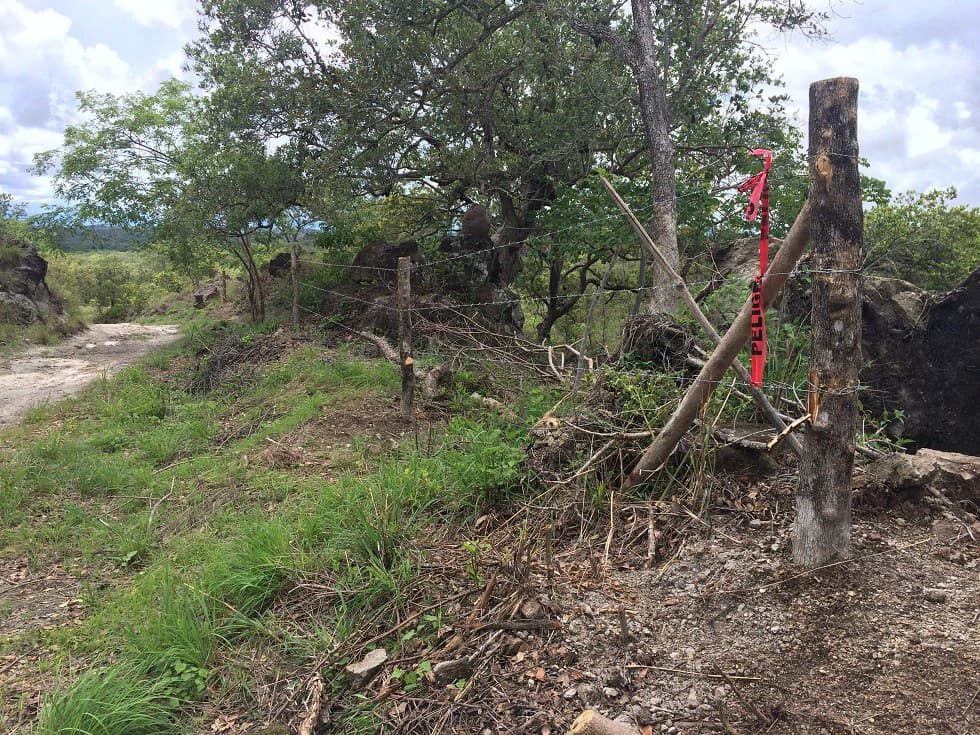 Finca grande: Economic Building property for sale in El Salto, with private access to the surrounding beautiful nature with own river - photo 16