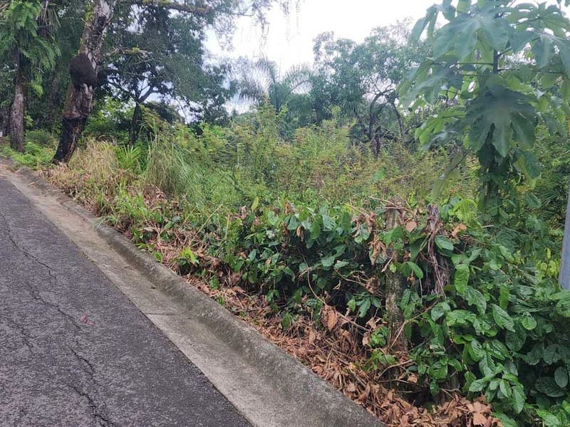 Subdividable lot in Manuel Antonio - photo 4