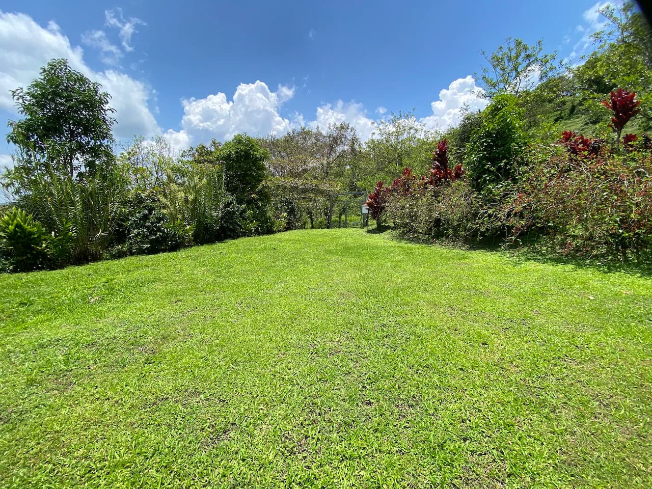 Beautiful Property with 4 cabins in El Castillo with gorgeous Lake View..!! - photo 3