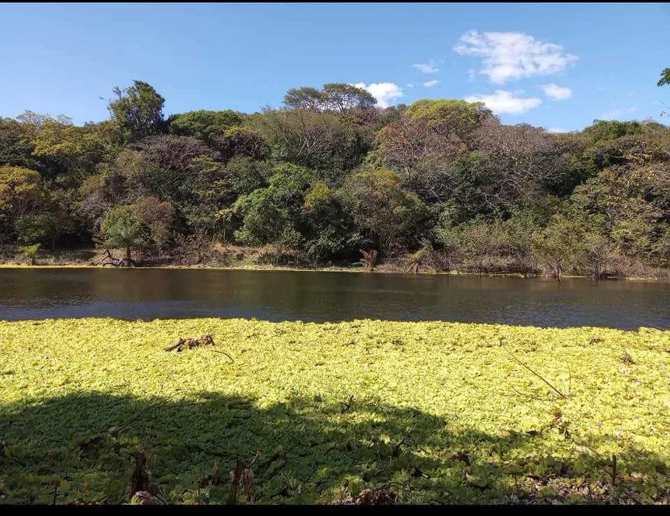 Finca Los Angeles: JUST REDUCED ! 281 Acre Farm with River, Lake, and Sunset views