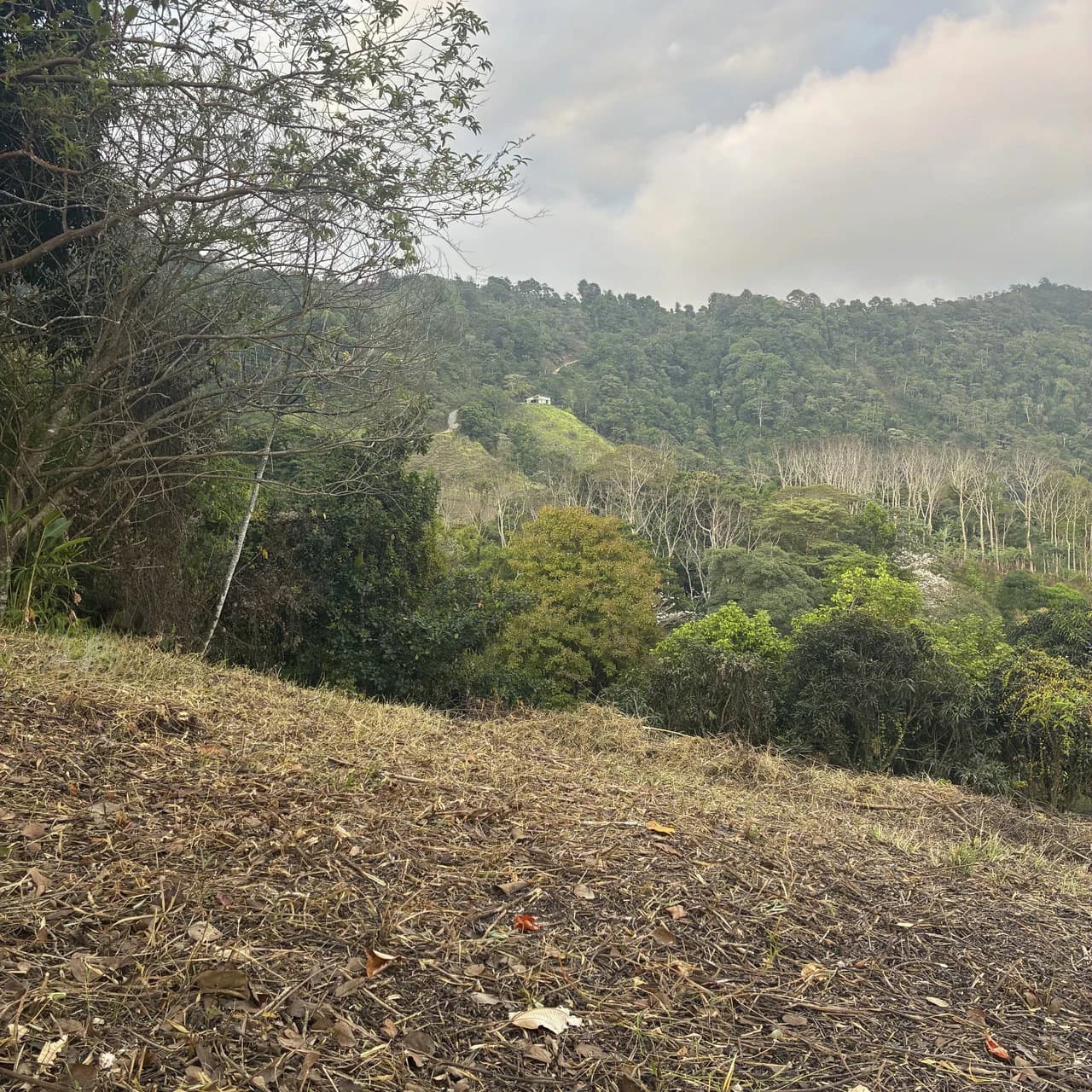 Ocean & Mountain View Lot with Multiple Building Sites-20 Minutes from Uvita - photo 8
