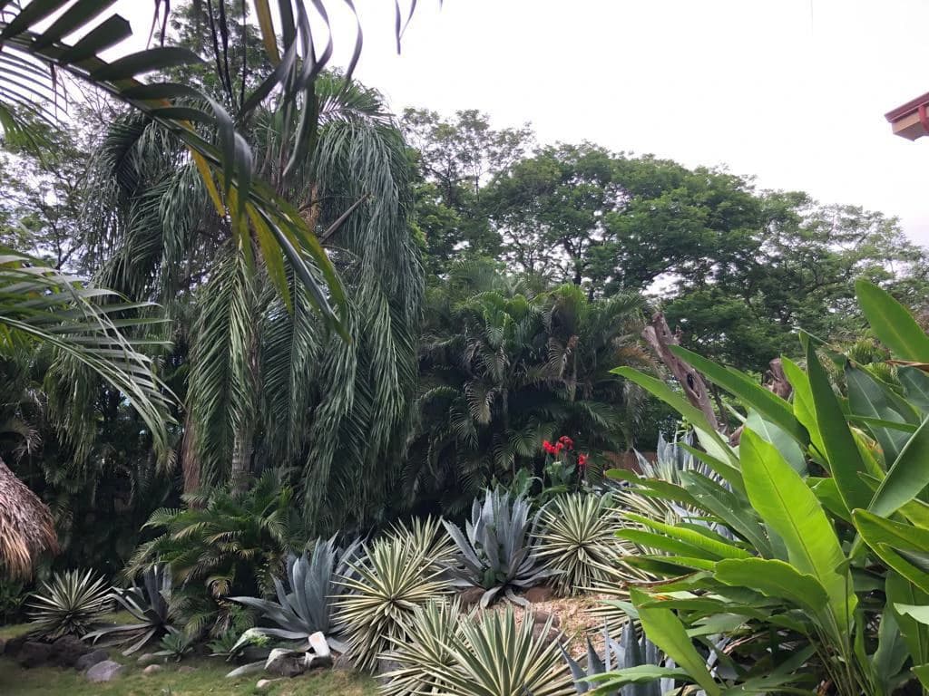 Project Residential Condominium in Playas del Coco - photo 14
