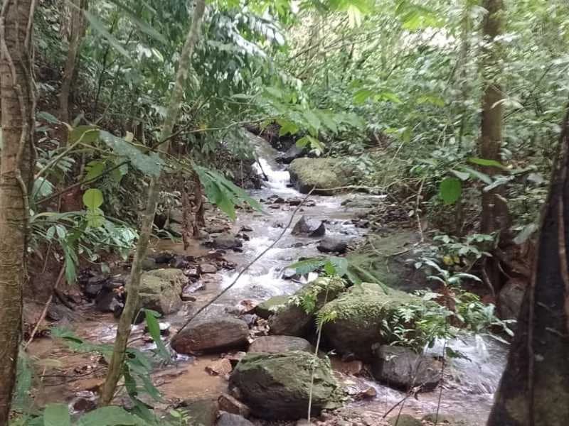 Stunning River & Jungle View Lot Ready To Build | Tres Rios, Coronado