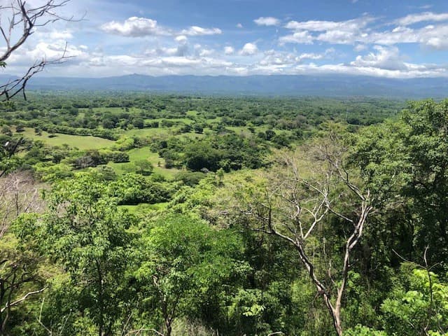 Amazing 50% discount for Huge ocean-view farm for sale surrounded by soft rolling hills and pristine nature - photo 5