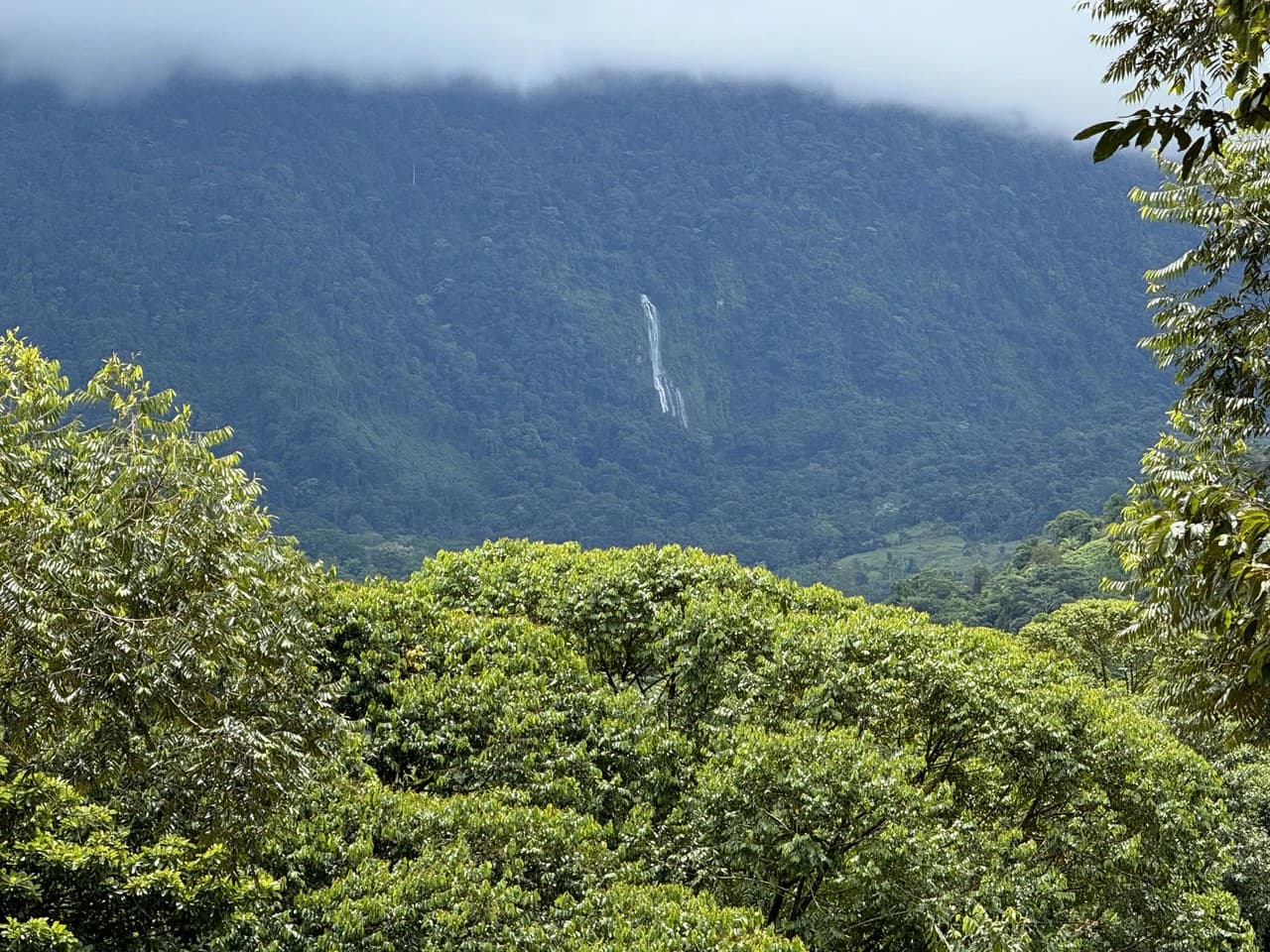 Diamante Waterfall View Land in Dominical 2.9 Acres - photo 36