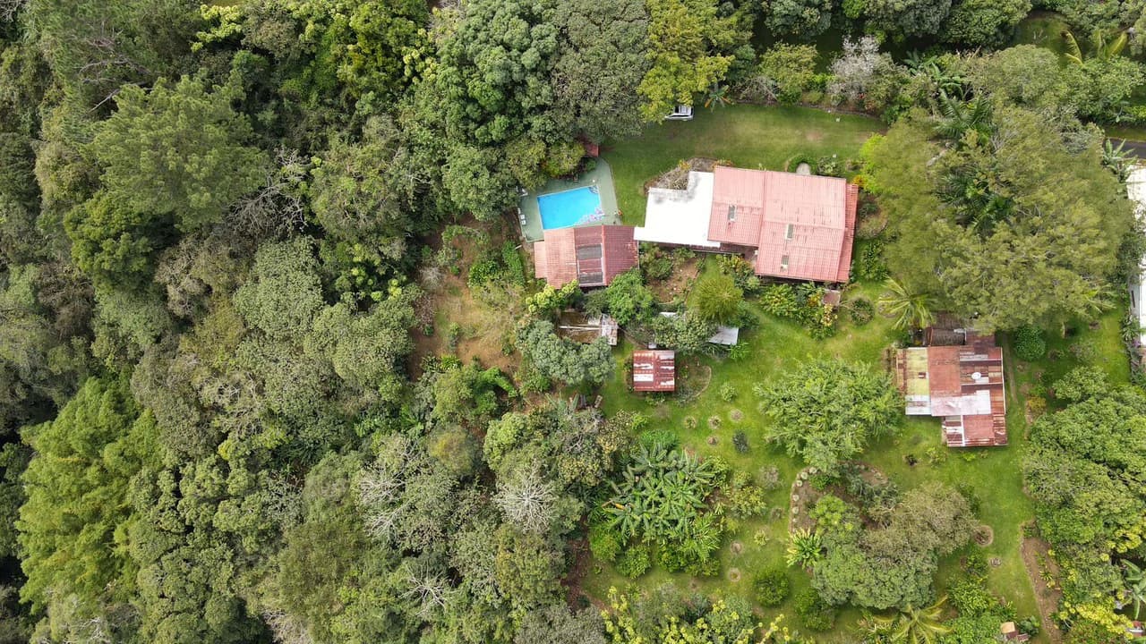 Casa Pura Vida!: Unique Multi-Home property and pool with nature backdrop