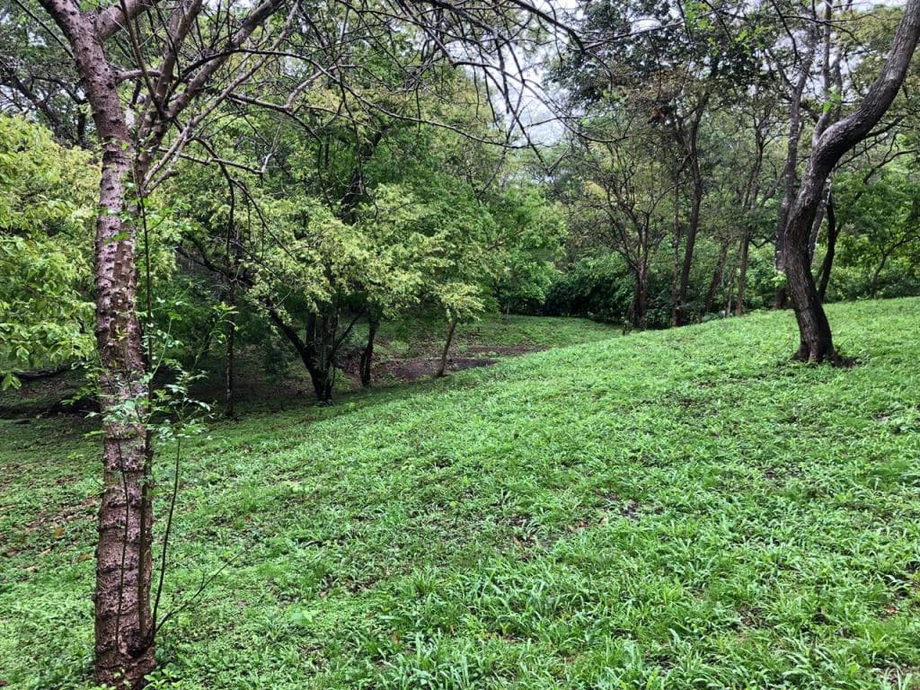 Lot in exclusive Residential, close to Beach Tamarindo - photo 13