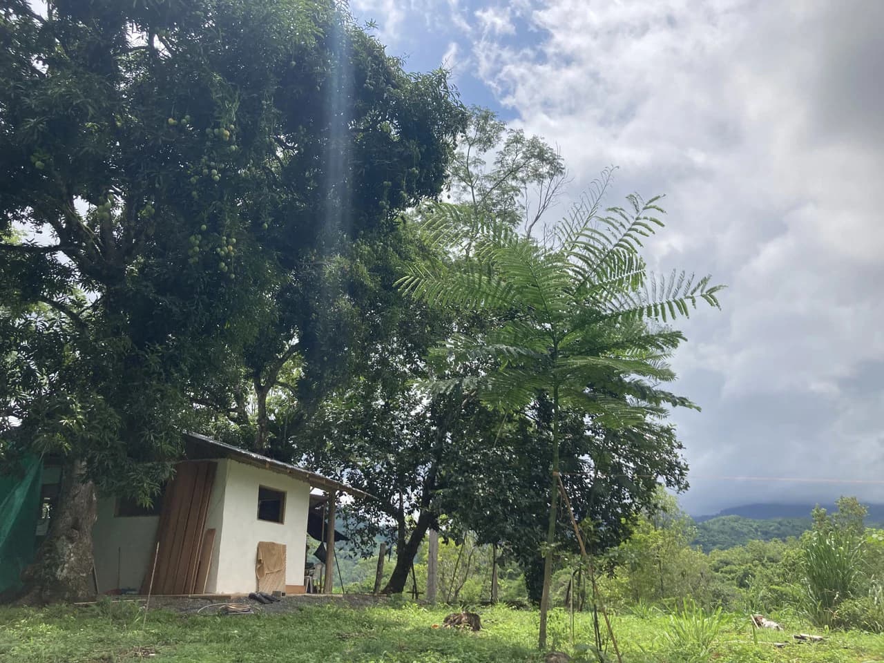 Frog Desing House: Property for Sale in Parrita, Costa Rica - photo 24