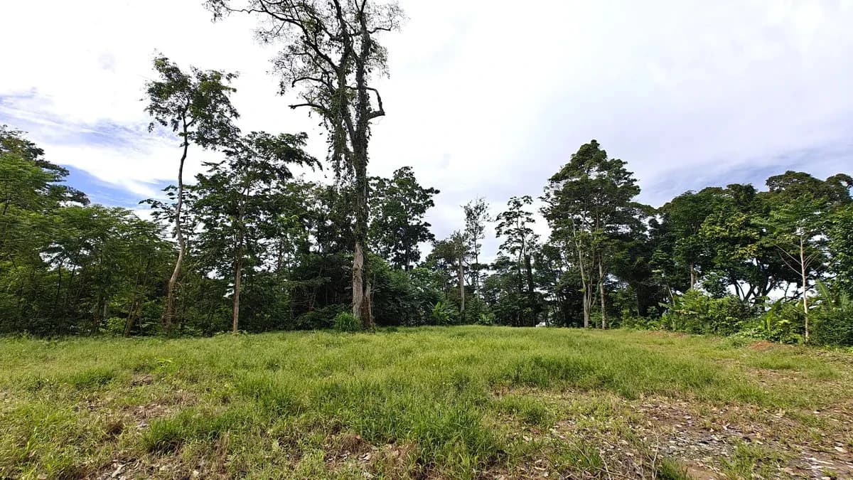 ID 345: 6,763m² Ocean View Development Land for Sale in Puerto Viejo - photo 8