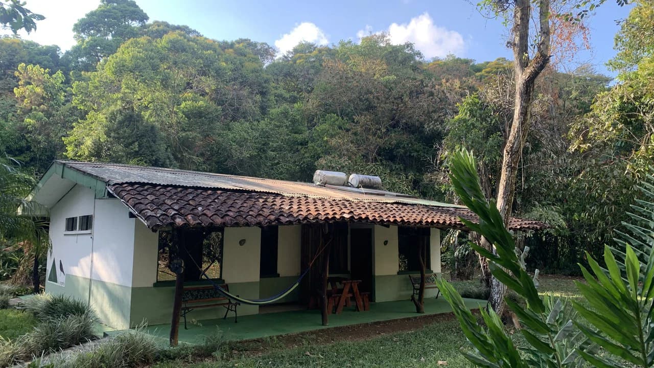Talari Hotel: Nature and Bird Lover's Paradise - Mountain Lodge - photo 10