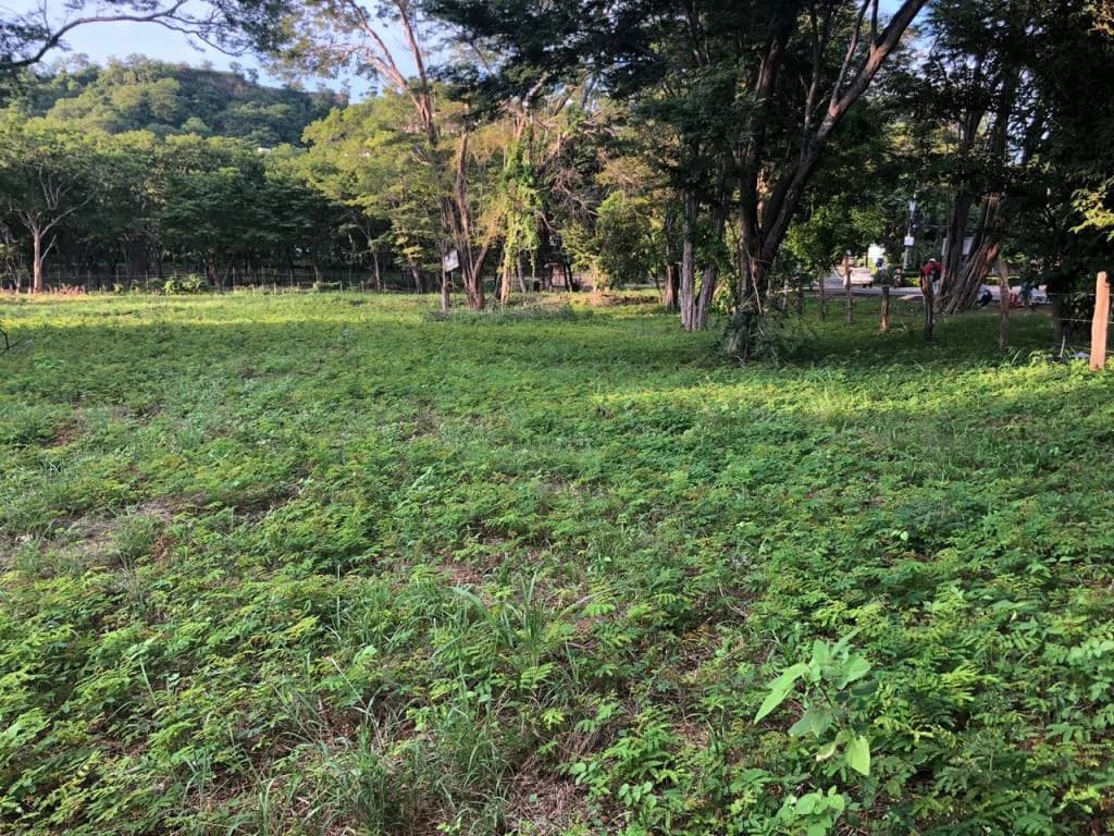 Large Commercial Property in Playa Hermosa, Guanacaste, Costa Rica - photo 9