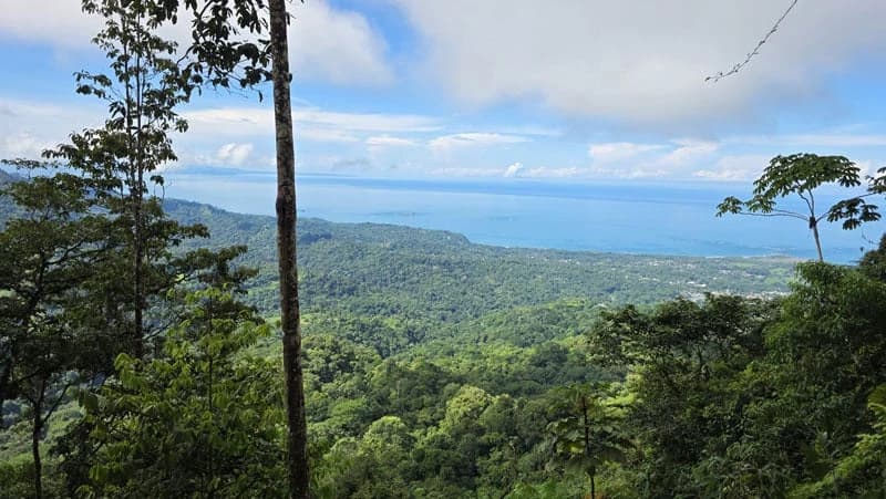 116-Hectare Finca for Sale Near Uvita with Whales Tail Views and 10 Waterfalls | La Faralla, Bahia Ballena, Uvita, Puntarenas, Costa Rica - photo 8