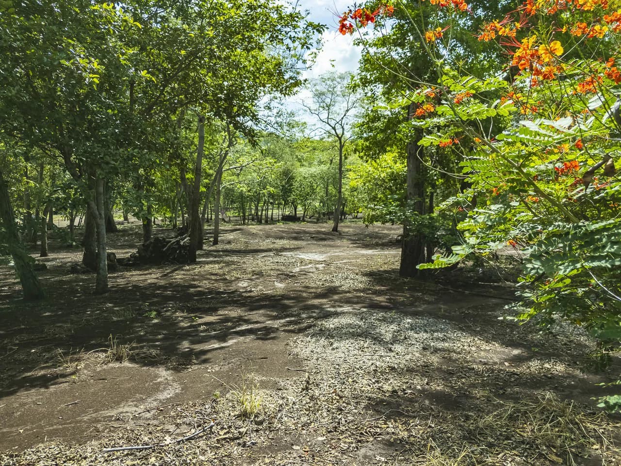 Cabo Vela Heights #4: Spacious Homesite Near Brasilito and Playa Flamingo - photo 14