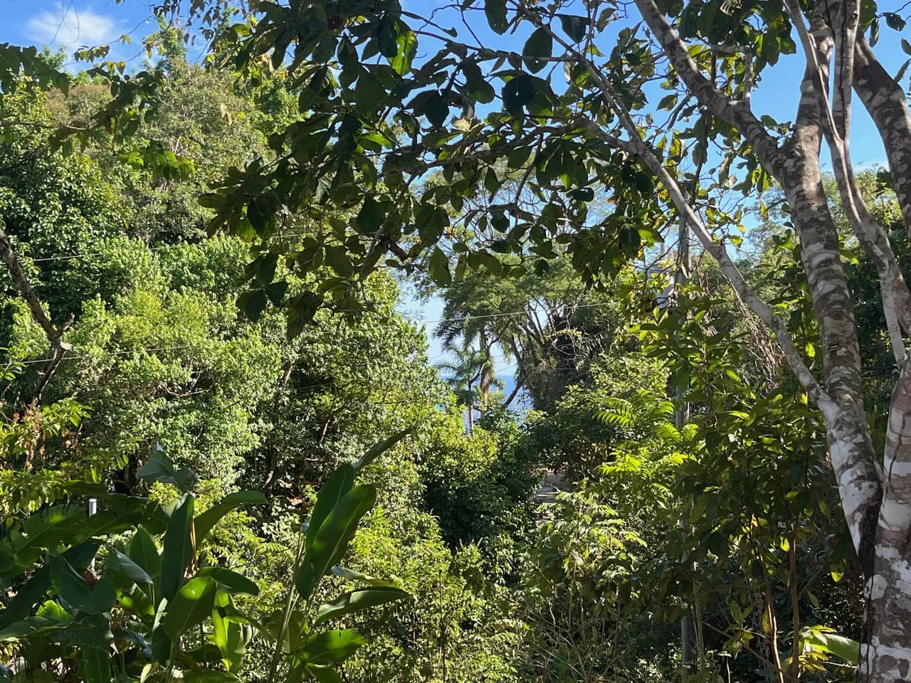 4000m2 Ready to Build Lot in Delicias: Partial Ocean Views in Great Neighorhood - photo 6