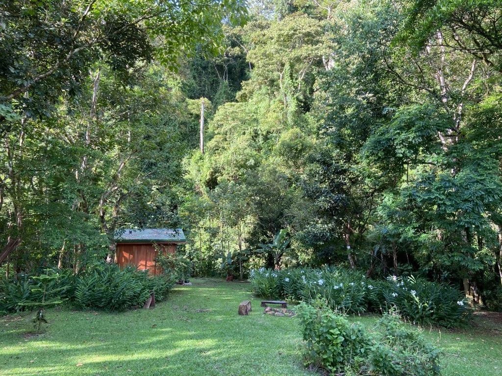 RIO SABALO: Yoga- Wellness- and Eco Retreat Center - photo 16