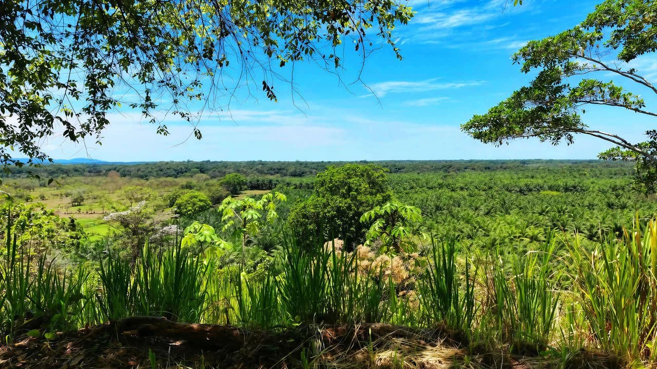 Near the Coast Home Construction Site For Sale in Ciudad Cortés - photo 18