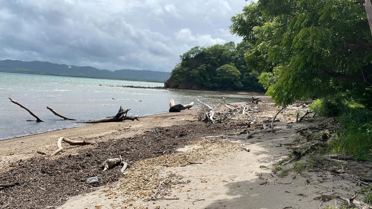 Beachfront Private Titled Property for sale close to La Cruz, beautiful nature land, ready to build - photo 2