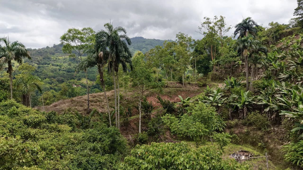 Countryside Home Construction Site For Sale in San Isidro del General - photo 7