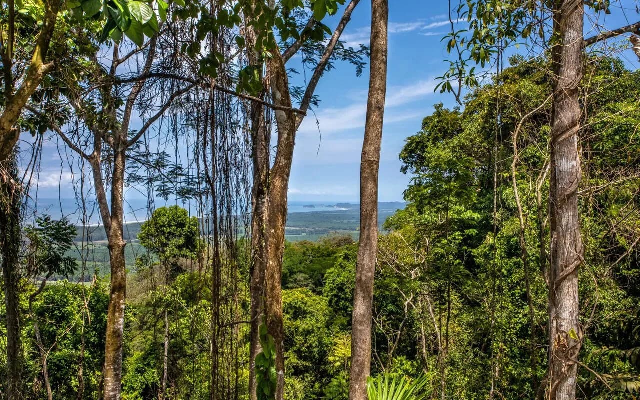 209 ACRES – 3 Bedroom 180 Degree Ocean View Home, Pool, And At Least 4 More Ocean View Building Sites!!!! - photo 9