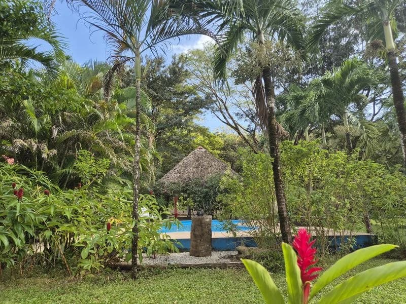 Casas Jungle: Charming Rental Compound with 5 units & pool in the heart of nature, minutes from Samara’s beaches - photo 6