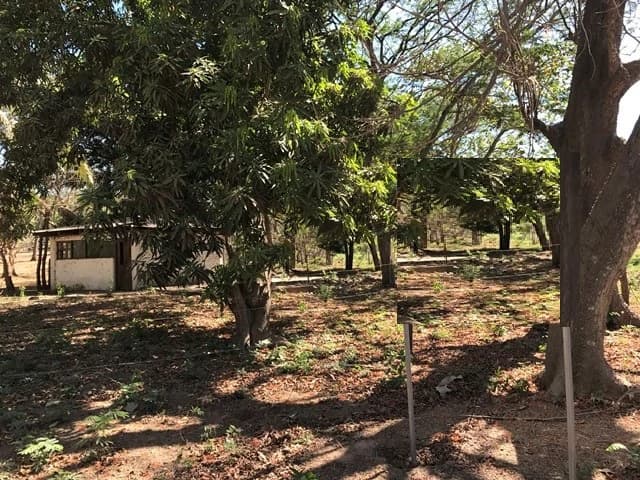 Big Property close to Playa Conchal - photo 3