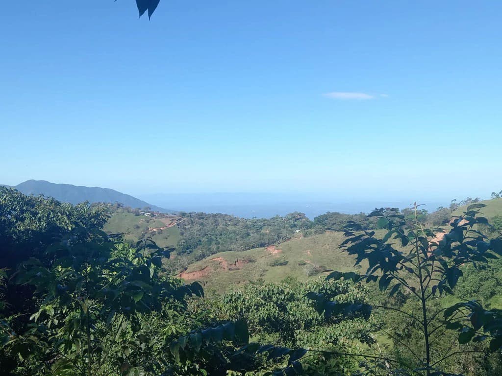 CAPTIVATING OCEAN AND PANORAMIC MOUNTAIN VIEW FINCA IN PURISCAL - photo 3
