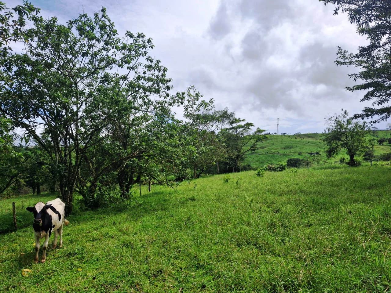 INVESTOR & DEVELOPER ALERT: High-Visibility Investment Property in the Heart of Tourist-Friendly Zarcero - photo 17