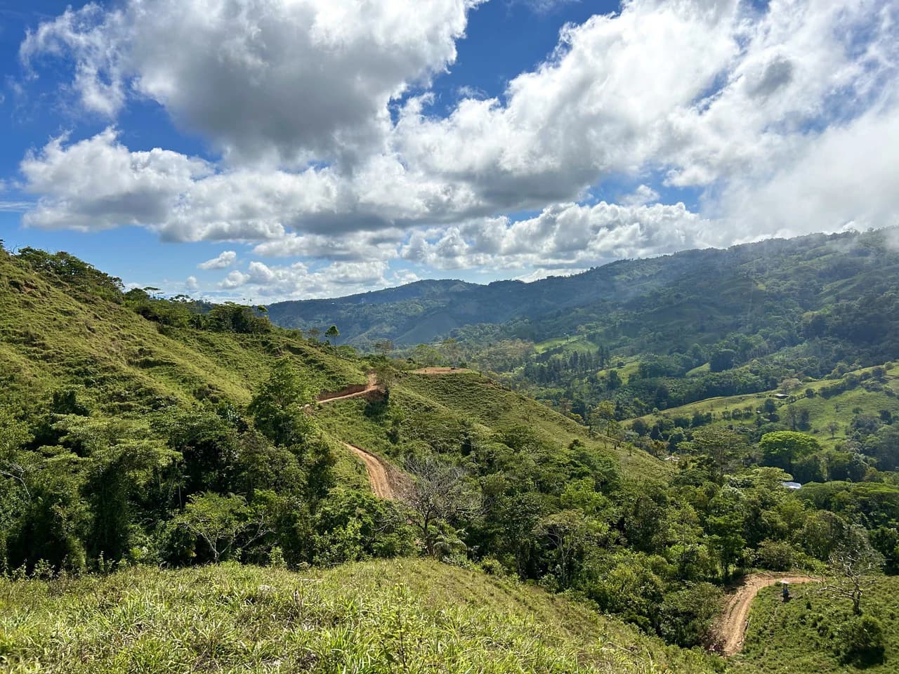 Finca Ceibo Memo: Mountain Home Construction Site For Sale in San Isidro del General - photo 44