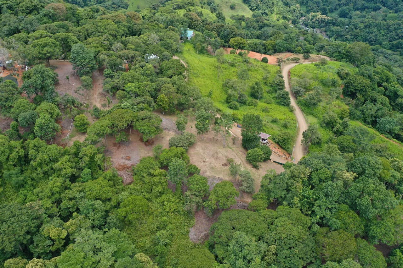 Diamante Waterfall View Land in Dominical 2.9 Acres - photo 25