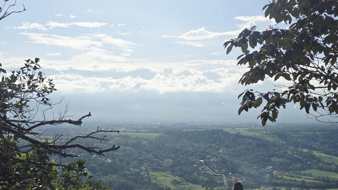 Mountain Agricultural Land For Sale in San Isidro del General - photo 9