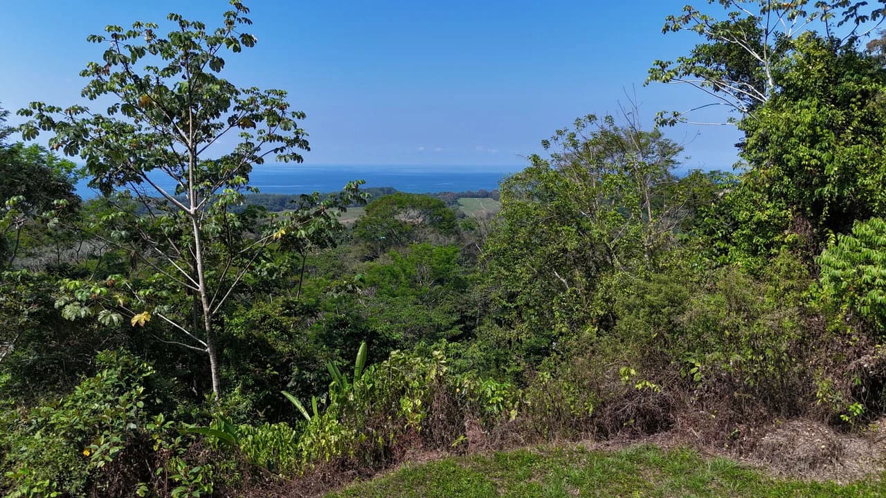 Exceptional Development Opportunity 71 acre Riverfront & Ocean View in Hatillo - photo 12