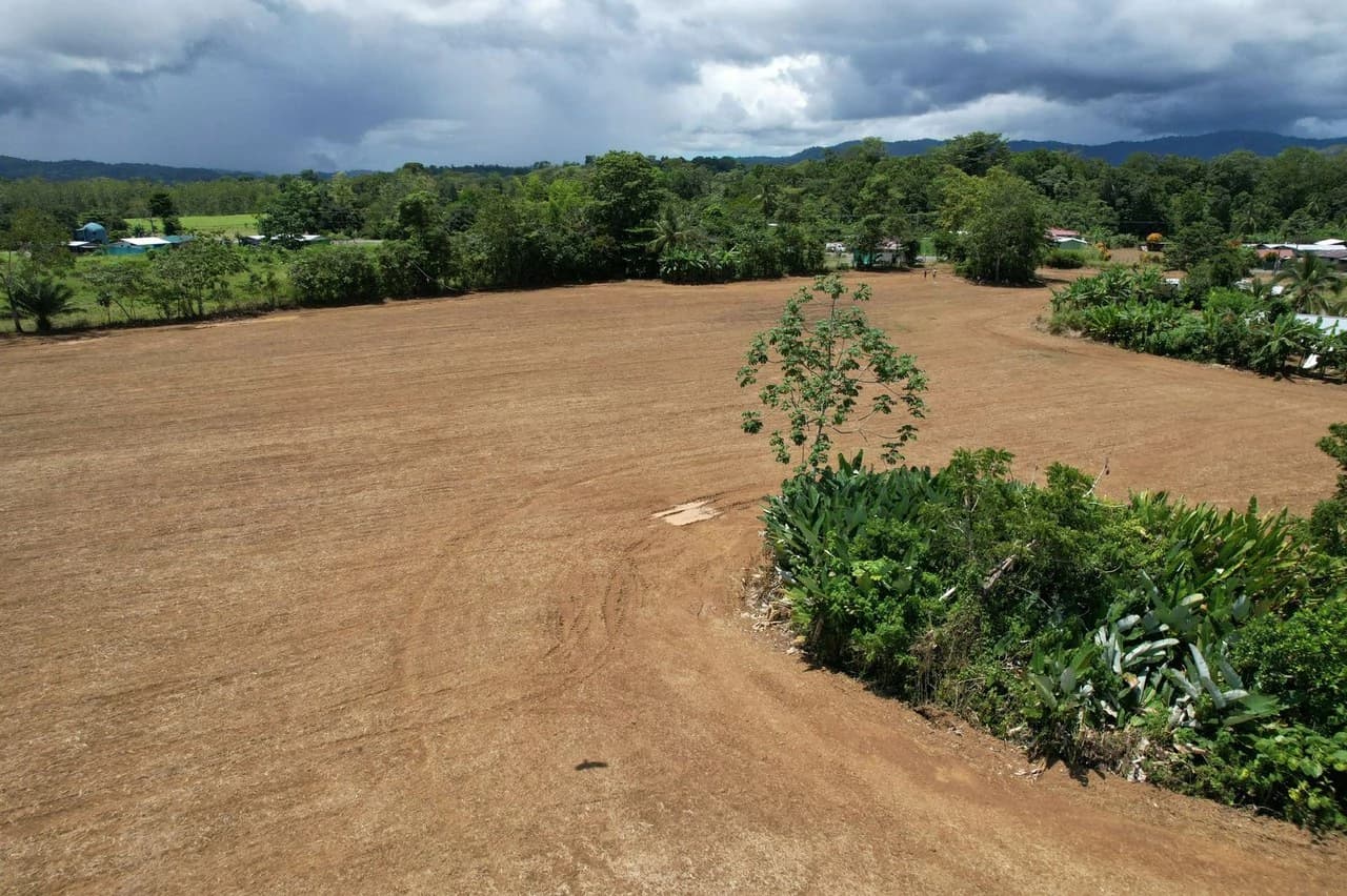 Finca La Palma, Puerto Jimenez: Excellent location ideal for development - photo 5