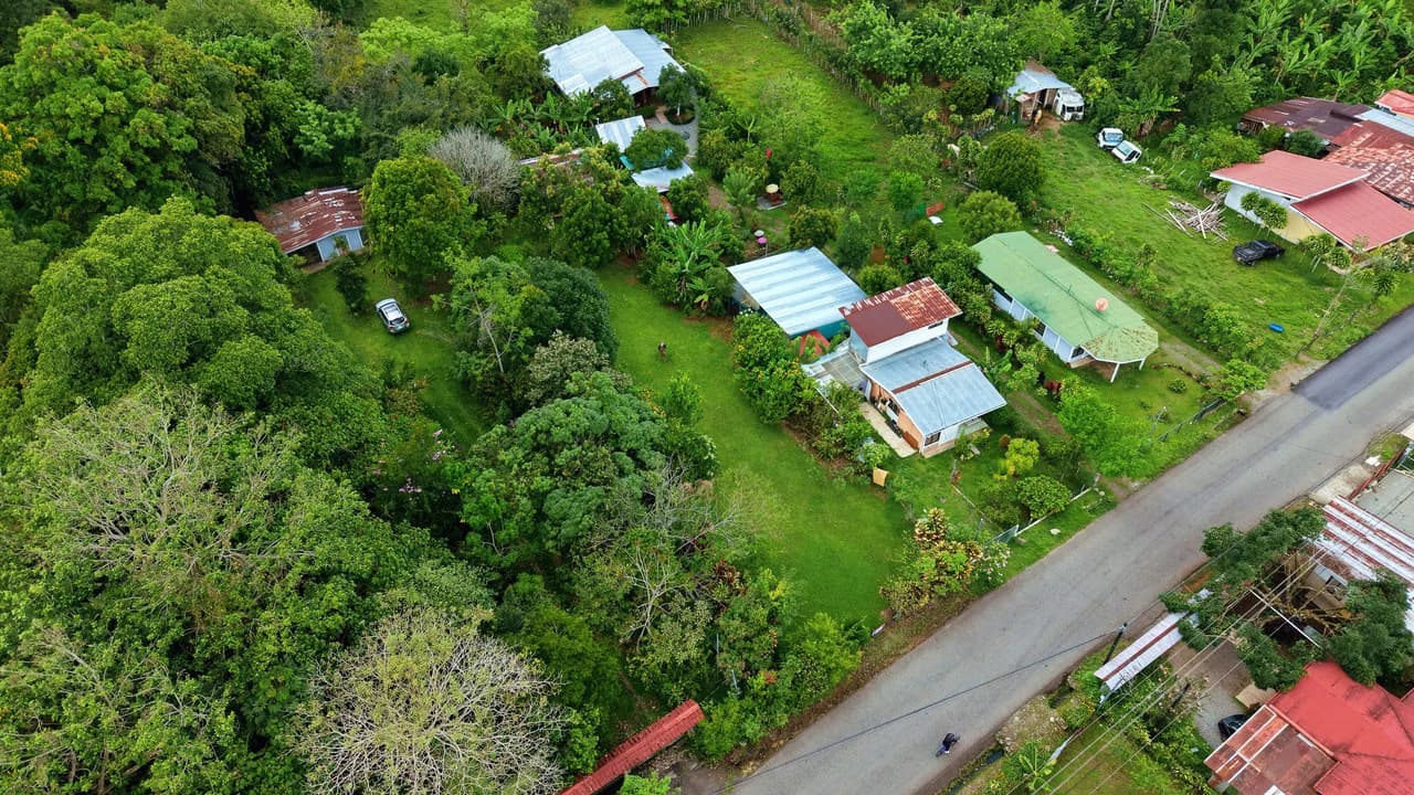 LOTE PLANO CON FRUTALES: Mountain Home Construction Site For Sale in General Viejo - photo 21