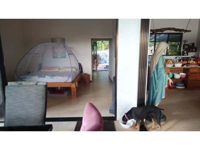 Stunning Dream Home and Pool with Separate cute smart Apartment building for Sale Surrounded by lush nature in the soft rolling hills of Hojancha - photo 28